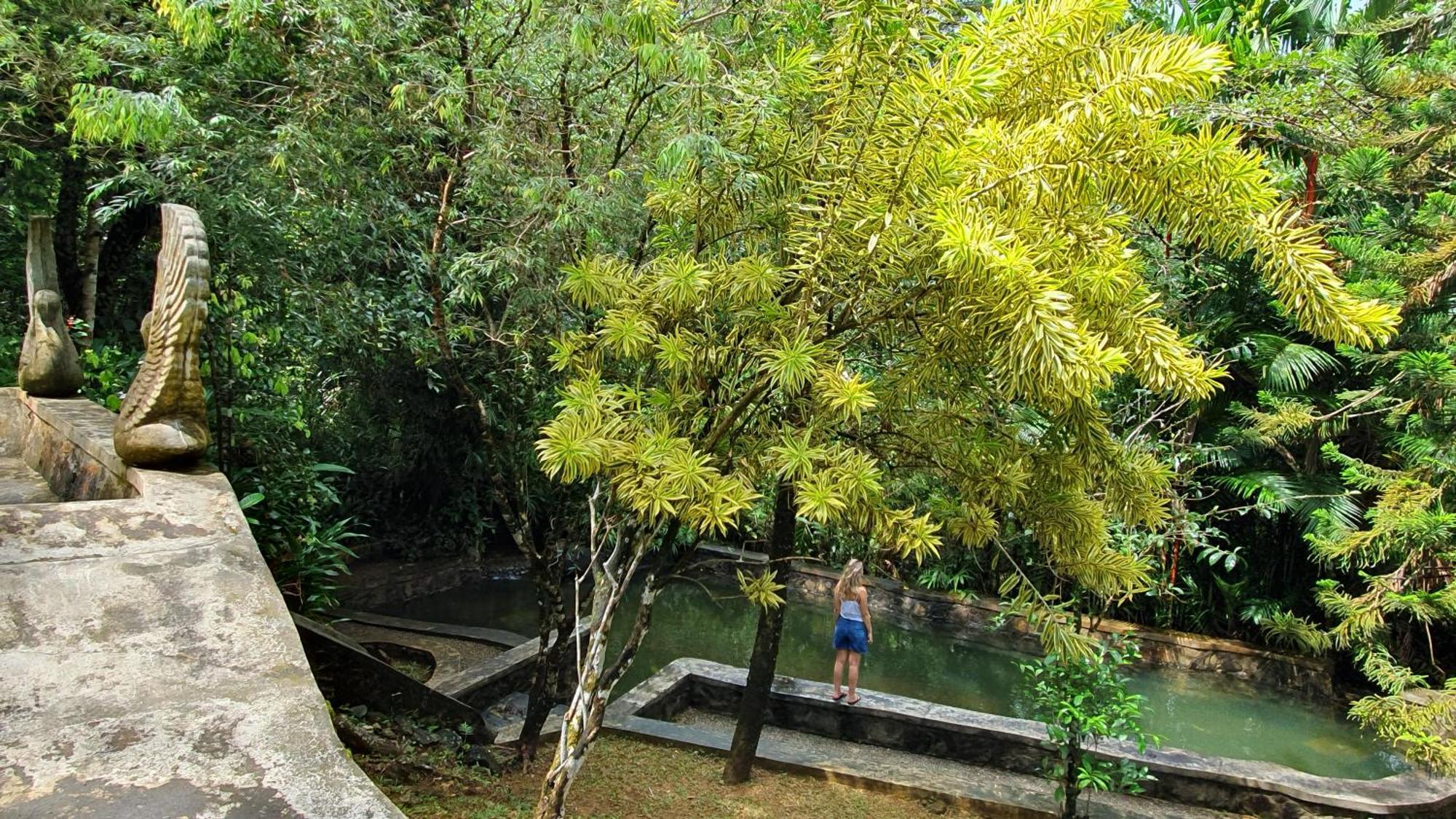 Singharaja Garden AGRO ECO Lodge Pelawatta  Bagian luar foto