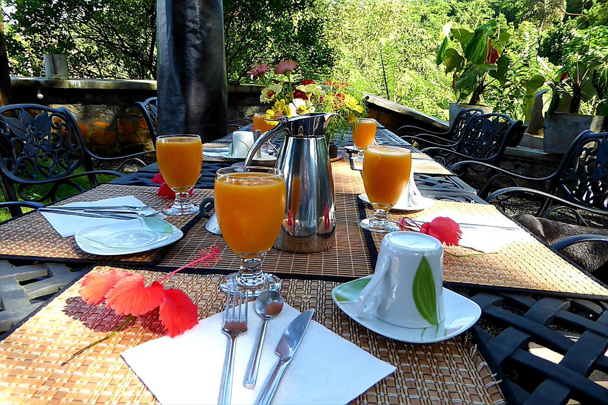 Singharaja Garden AGRO ECO Lodge Pelawatta  Bagian luar foto