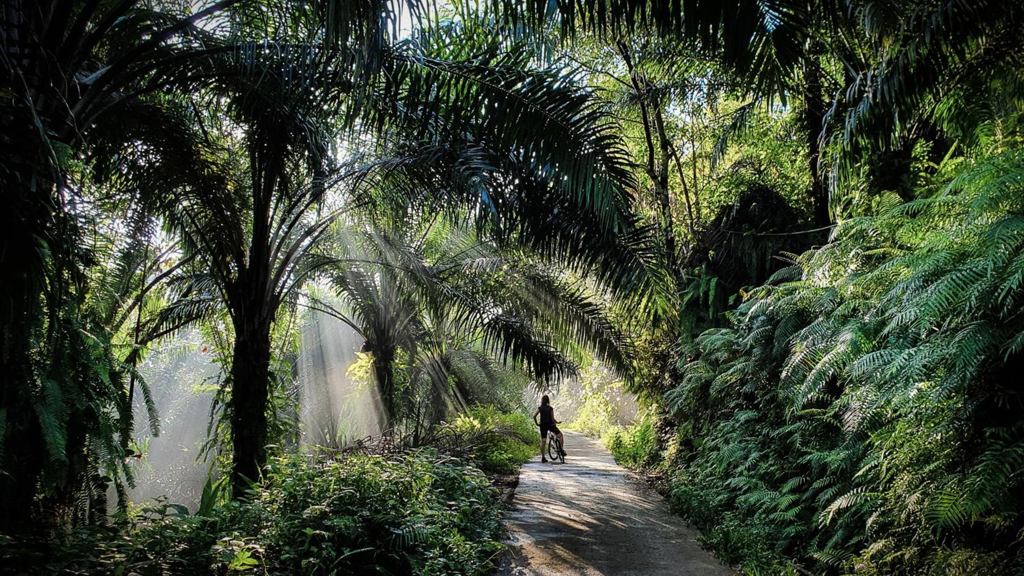 Singharaja Garden AGRO ECO Lodge Pelawatta  Bagian luar foto