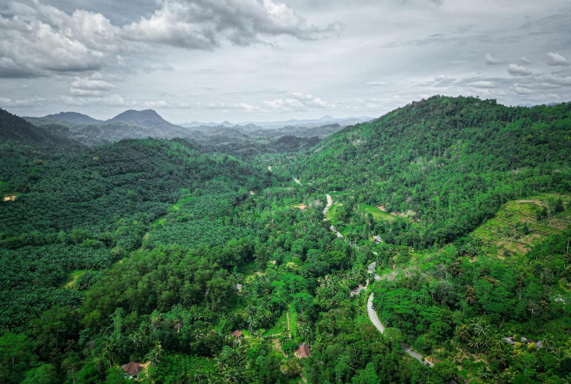 Singharaja Garden AGRO ECO Lodge Pelawatta  Bagian luar foto