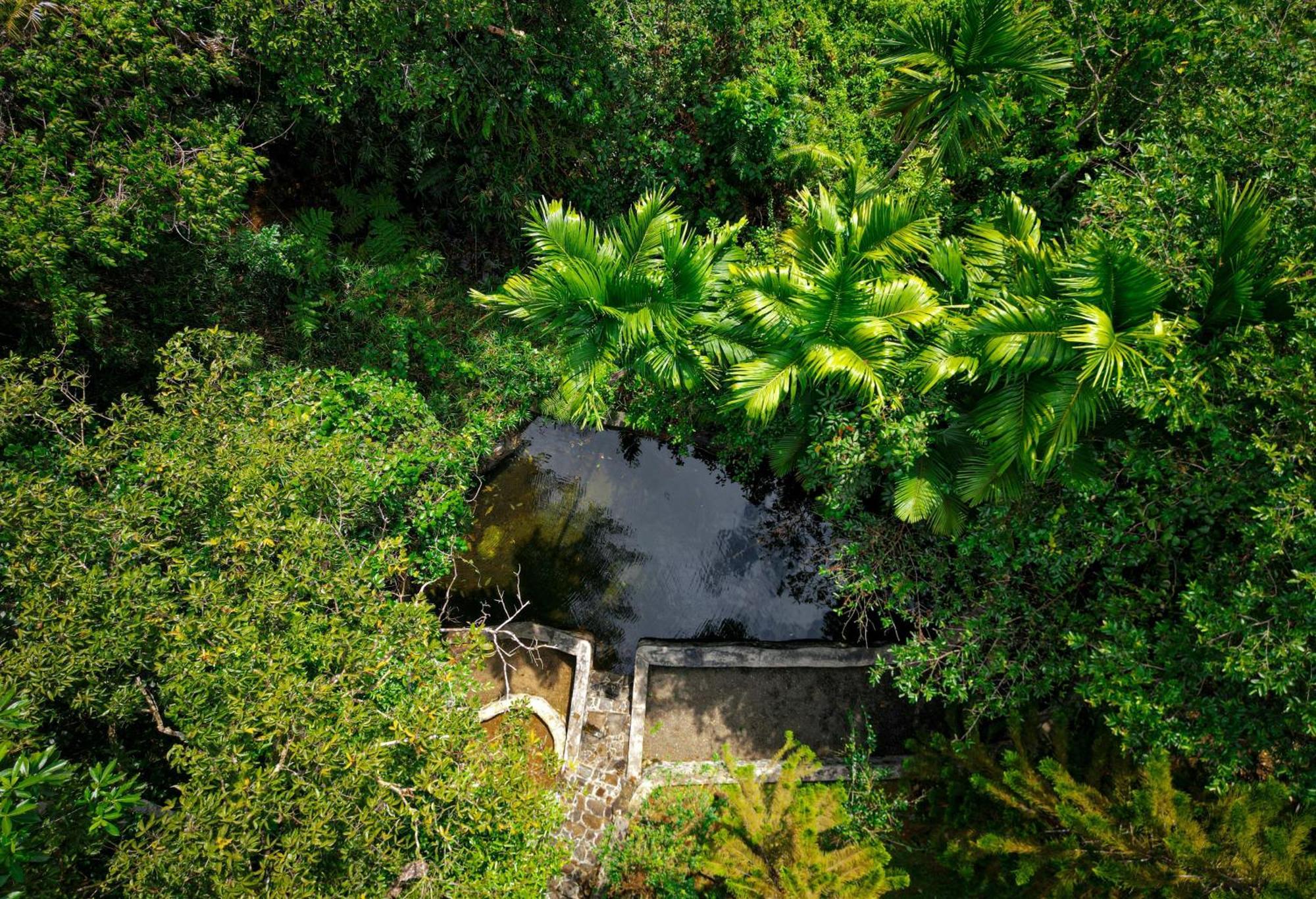 Singharaja Garden AGRO ECO Lodge Pelawatta  Bagian luar foto
