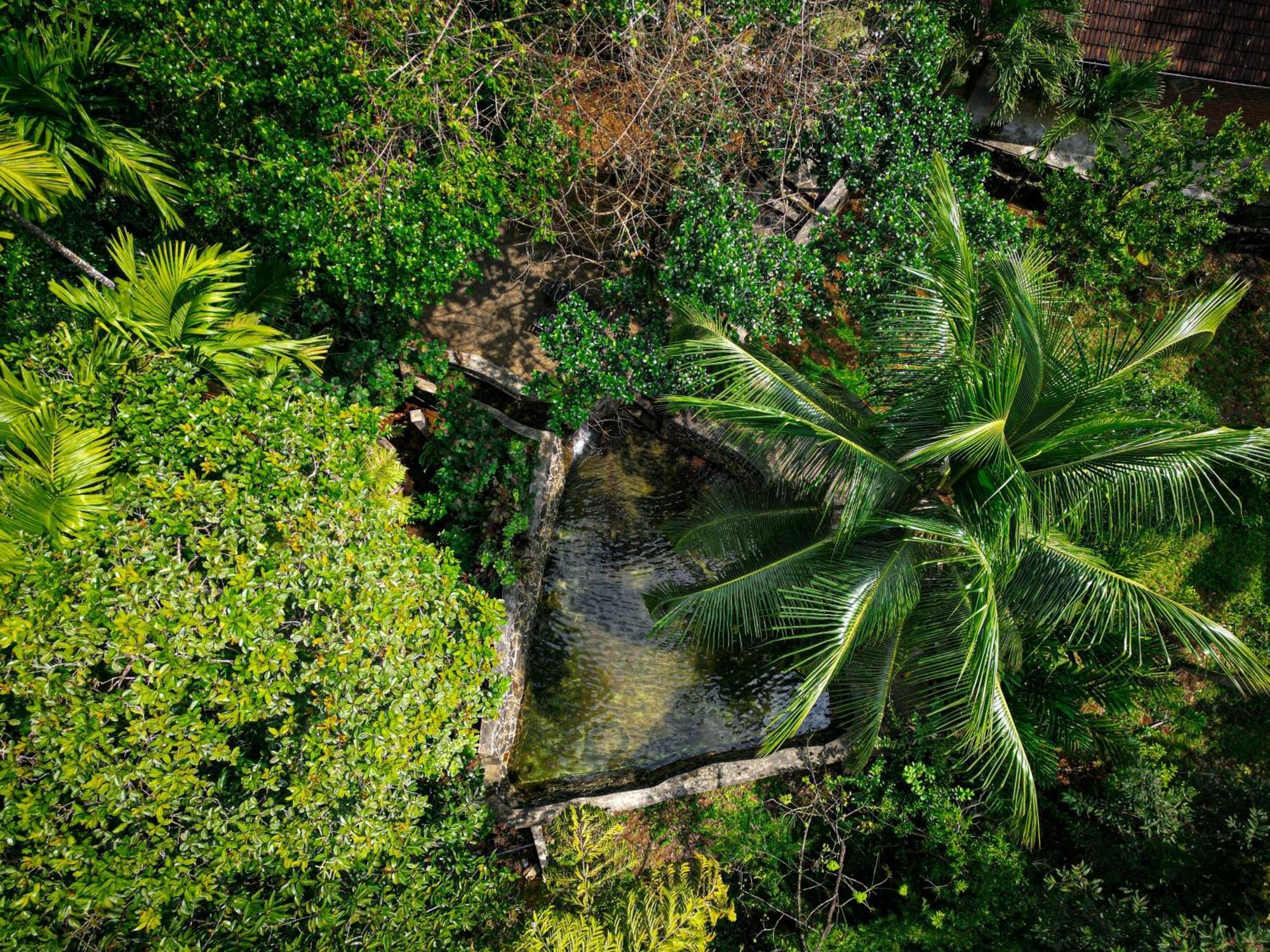 Singharaja Garden AGRO ECO Lodge Pelawatta  Bagian luar foto