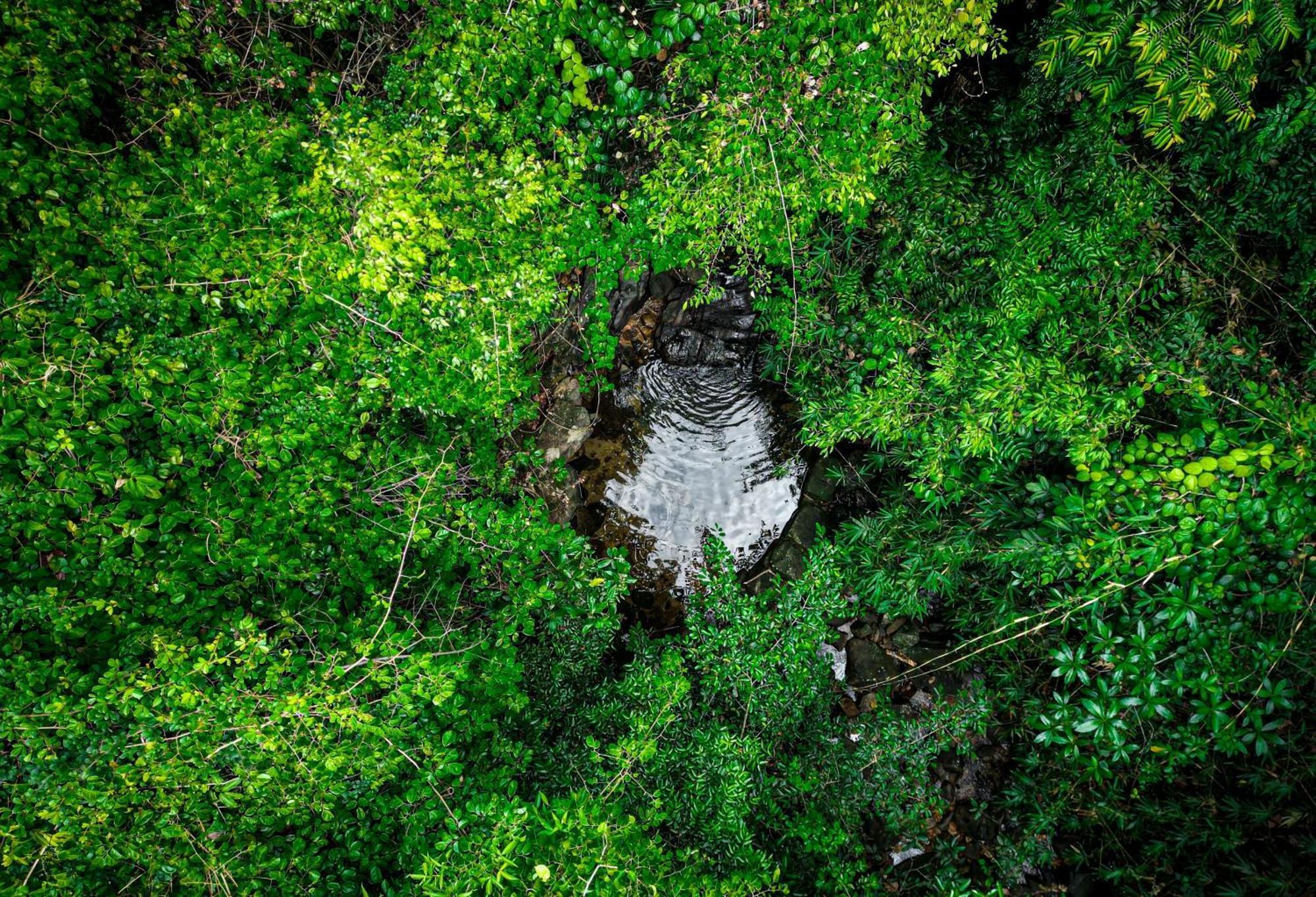 Singharaja Garden AGRO ECO Lodge Pelawatta  Bagian luar foto