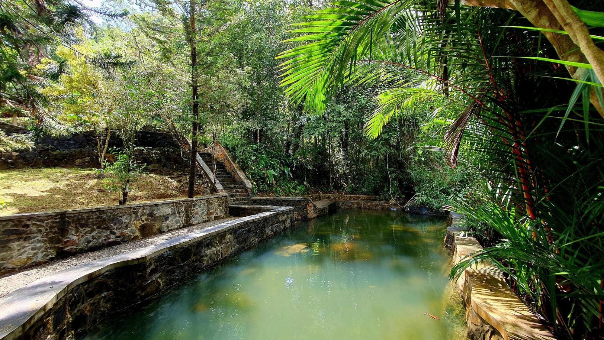 Singharaja Garden AGRO ECO Lodge Pelawatta  Ruang foto