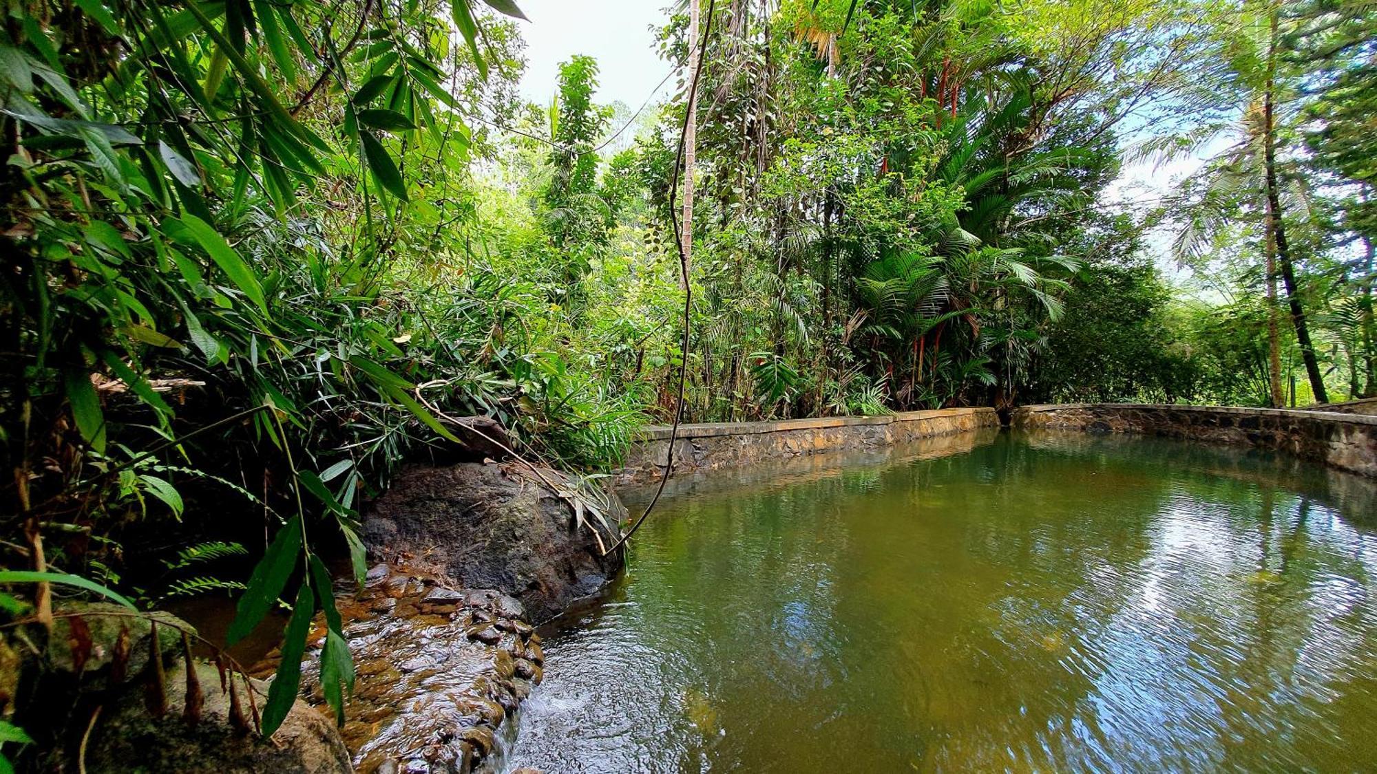 Singharaja Garden AGRO ECO Lodge Pelawatta  Ruang foto